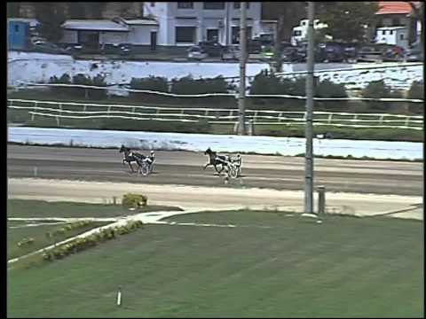 Trotto 25/08/2015 - 4° prova di qualifica