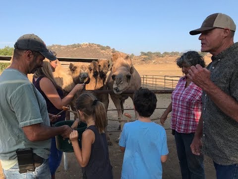 download lagu mp3 mp4 Instagram Dairy, download lagu Instagram Dairy gratis, unduh video klip Instagram Dairy