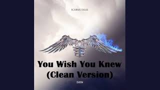 Zayn - You Wish You Knew (Clean)