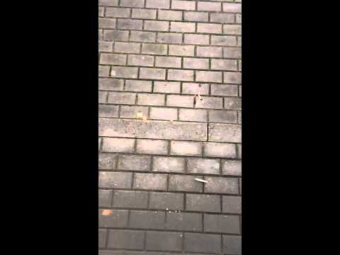 how to throw smoking  in a few seconds