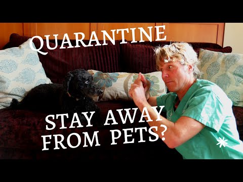 I'm In Quarantine- Stay Away From My Pets???