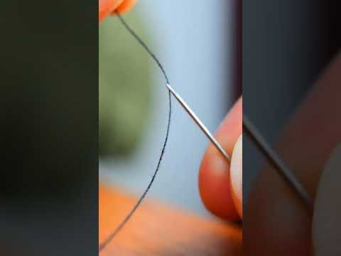 This experiment is the best thing you'll see today.