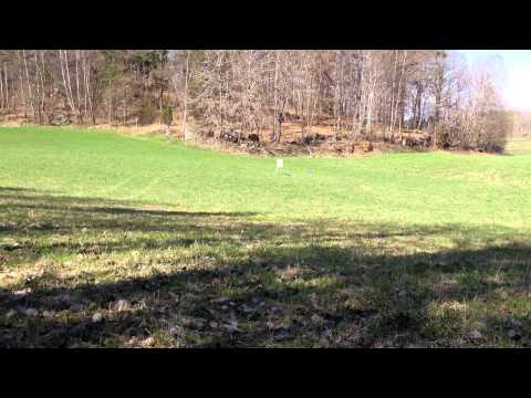 norma oryx vs federal power shok