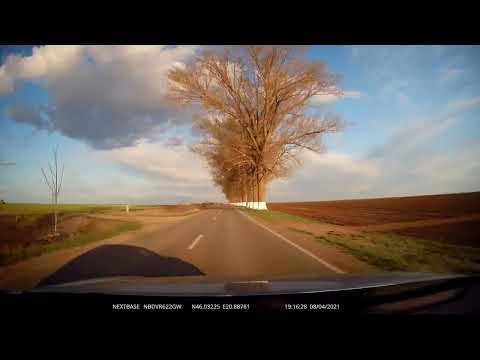 Igriș - Sânandrei - Timișoara, Timiș, România [DJ 682E] [DJ 682] [DJ 692] [2021] | 4K