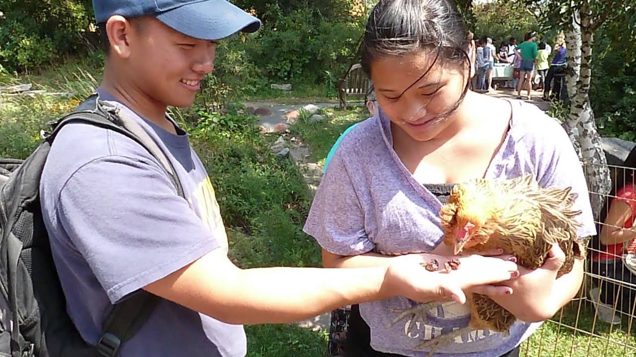 What are alumni saying about us?