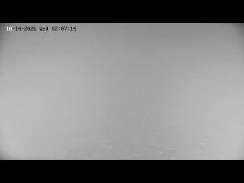 Polesie National Park marsh live cam