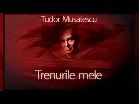 Tudor Mușatescu -Trenurile mele