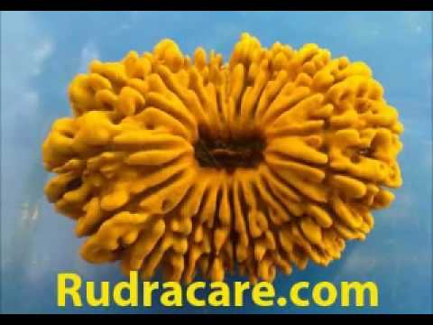 Nineteen mukhi (faced) Rudraksha mantra