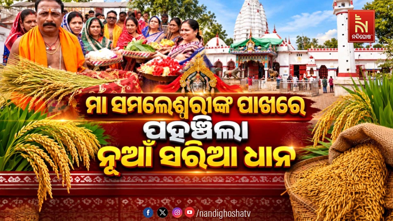 🔴Live | ମା ସମଲେଶ୍ବରୀଙ୍କ ପାଖରେ ପହଞ୍ଚିଲା ନୂଆଁ ସରିଆ ଧାନ