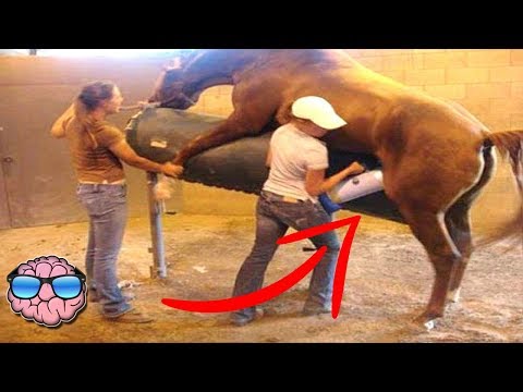 トップ10 WORSTジョブ (Top 10 WORST Jobs)