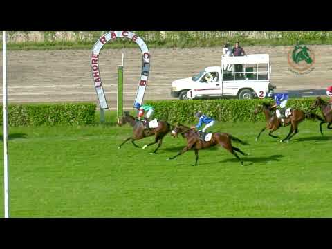 6th Race  Winner Spartacus | Lahore Winter Meeting 2023-2024 #horseracing #racing #lrc #race #horse