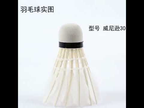 ~子甄彣璟~羽毛球 12只裝 飛行穩定 娛樂訓練球 訓練用球 耐打不易爛 鴨毛球 軟木球 練習 羽球