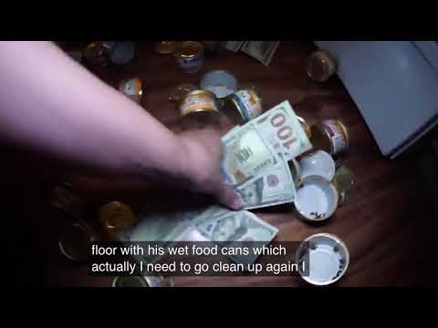 Talking kitty cat 69 -Sylvester goes to court#talkingkittycat