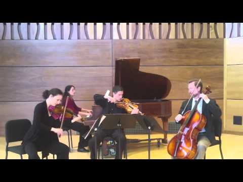 Brahms c minor Piano Quartet Op 60 mvt1