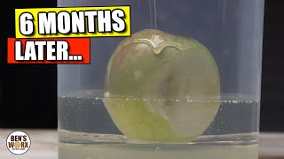 Did It Rot ? Apple 🍏 in Epoxy Resin 6 Month Update