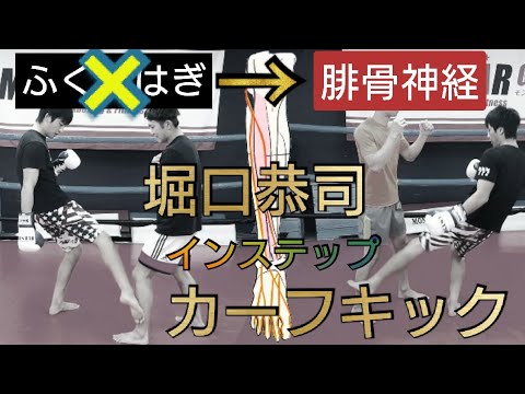 堀口恭司《腓骨神経》を一撃で破壊する正しい【カーフキック】蹴り方3種類、防御方法を分析実践！