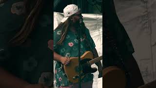 Whole Lotta Love #ledzeppelin #cover #wisconsin