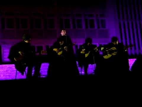 Feiticeira video