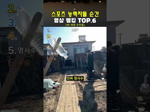 스포츠 능력자들 순간 8