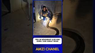 Download lagu THIS MAN CATCHED A HUGE KING COBRA Part 1 mp3 Download lagu THIS MAN CATCHED A HUGE KING COBRA Part 1 mp3