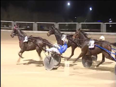 Trotto 09/12/2018 - 7ª corsa - G.P. ROYAL MARES