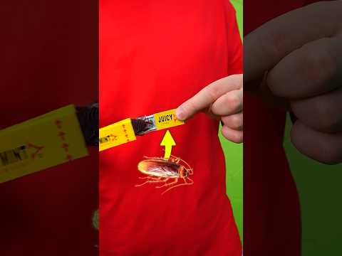 Пранк жевачкой с тараканом!