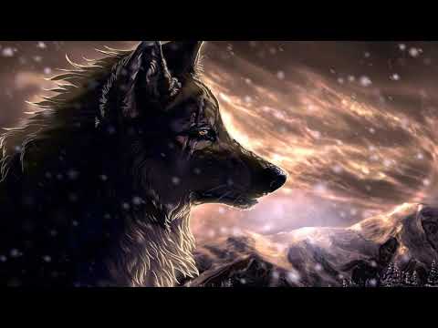 Franky Wah - Jan Blomqvist - Alberth - Tone Depth - Ivan Masa (Omer Gigi Set)