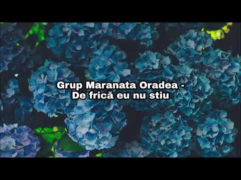 De frică eu nu ştiu - video