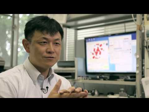 基礎理学科の研究力