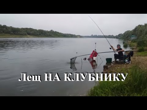 РЫБАЛКА НА ОКЕ Летом | Клюёт на фидер