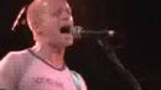 Elliott - Calm Americans