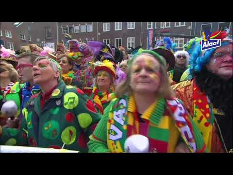 BBBBZ 2019: Thei & Marij - Honderddoezend kier