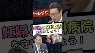 「妊婦さんと産科医療機関を守ろう！」【国会質問】#政治 #政治解説 #橋本がく