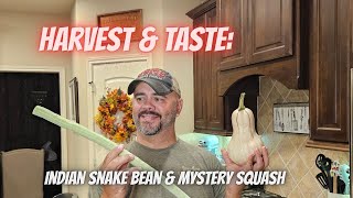 Crazy Garden Harvest! 🐍 Indian Snake Beans & the Mysterious Squash