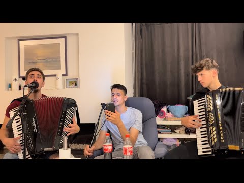 Florin Ștefan, Daniel Rosca și David Ilisoi - Tânăr plin de farmec și viata