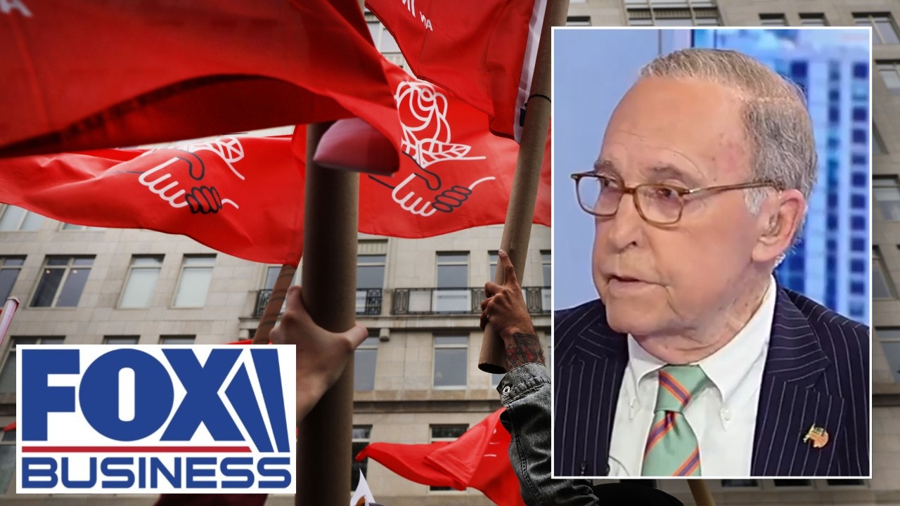 'THEY'RE GONNA GET CLOCKED': Kudlow give bad news for DSA movement for midterms