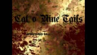 Cat O' Nine Tails - Fallacy of Justice