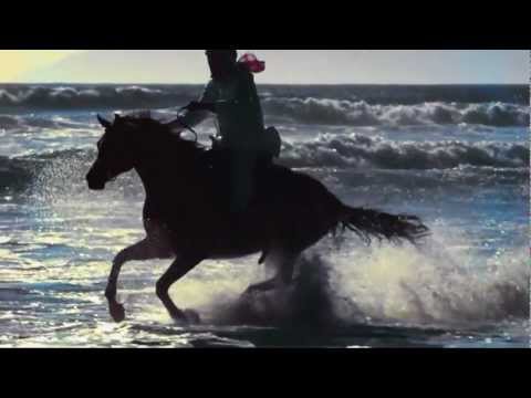 Frank Sinatra- My way