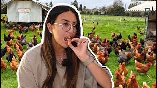 Ex-Vegan eats CHICKEN