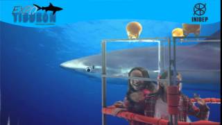 DIA 3 Expo Tiburon149