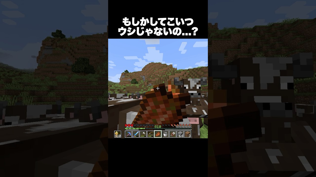 もしかしてこいつ牛じゃないの…？ #shorts #マインクラフト #マイクラ