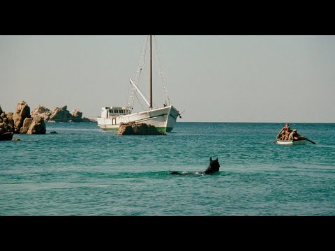 Rescued | The Black Stallion (1979)