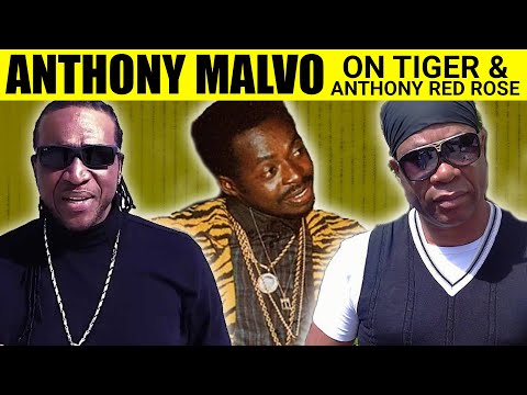 ANTHONY MALVO On Tiger + Meeting And Producing Hits With Anthony Red Rose