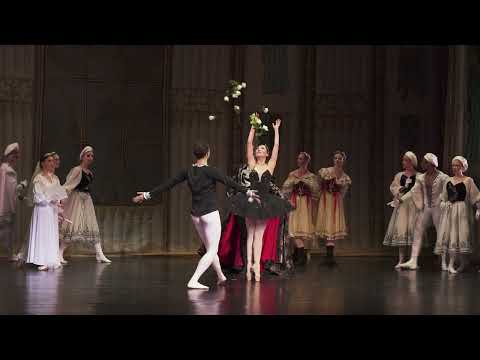 Swan Lake