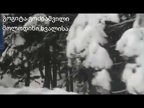 Gogita godziashvili - Molodini xvalisa გოგიტა გოძიაშვილი - მოლოდინი ხვალისა.