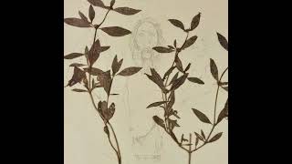 Cover art for the oldest view (Jebel irhoud)