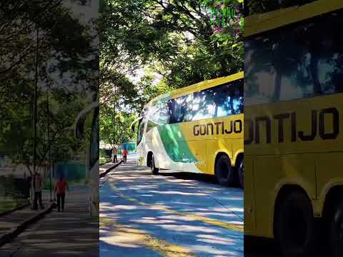 JANUÁRIA x SÃO PAULO: O GUERREIRO SCANIA K400 DA GONTIJO CHEGANDO NA CAPITAL! 🚍🛣️