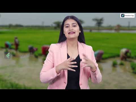 Kisan Credit Card क्या है और कैसे मिलता है? Kisan Credit Card Yojana Explained