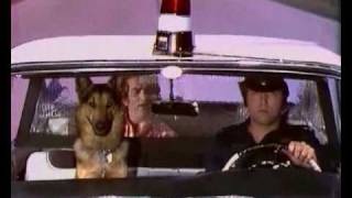 Eddy Mitchell - Sur la route de Memphis (clip)