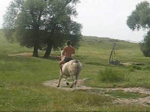 kristosel din catina